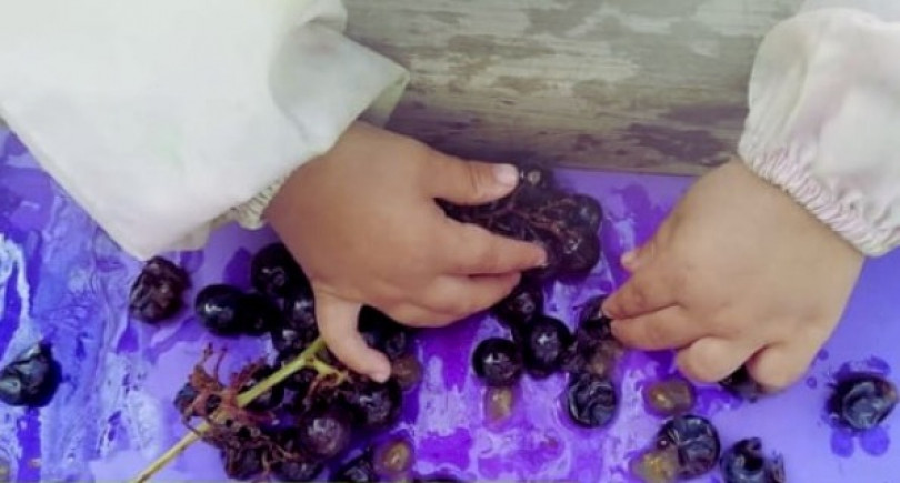 Naturalmente al Nido 2025